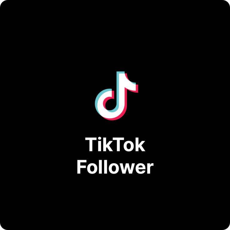 TikTok Follower